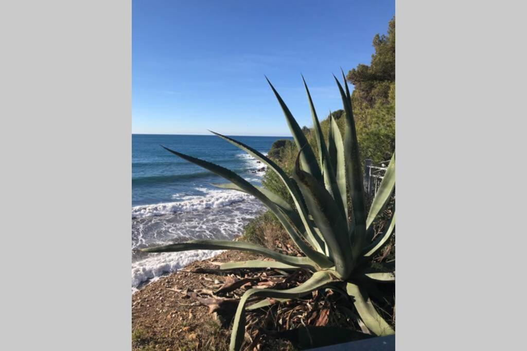 La Petite Pinede Studio Climatise Proche Plage Санарі-сюр-Мер Екстер'єр фото